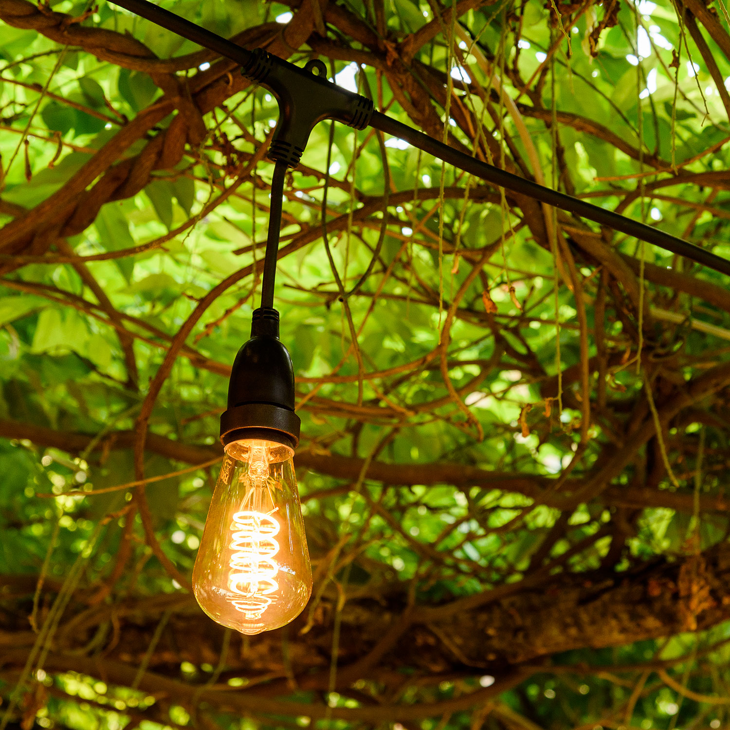 Guirlande personnalisable, 8 douilles E27 suspendues, 5 mètres, câble noir 7 Guirlande personnalisable, 8 douilles E27 suspendues, 5 mètres, câble noir 7