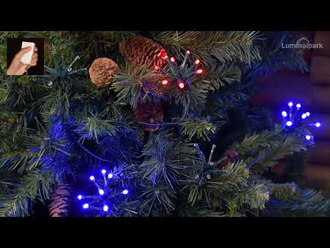 40 Bright Bunches of 8 Multi Coloured Leds String Lights 2 40 Bright Bunches of 8 Multi Coloured Leds String Lights 2