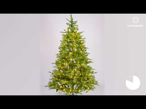 Arbre Alpino sapin artificiel 210 cm, 500 led blanc chaud intégrés 2