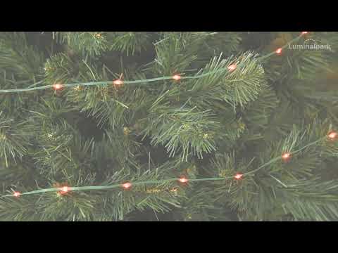 Catena Gocce di Luce da 30 m, 400 Led ultra luminosi rosso 2 Catena Gocce di Luce da 30 m, 400 Led ultra luminosi rosso 2