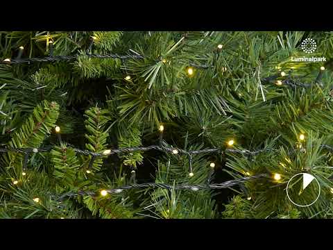 Lichterkette „Cluster StarFall“ 30 m, 1660 warmweiße LEDs, grünes Kabel 2