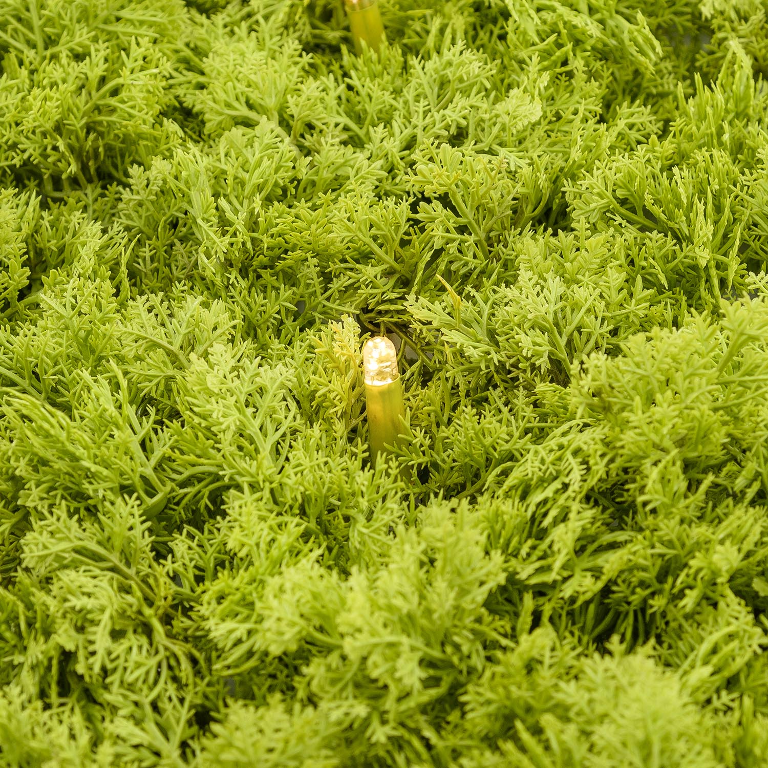 Panneau de Lichen artificiel vert acide Green Wall Light, 16 Maxiled Dual Color blanc chaud 7