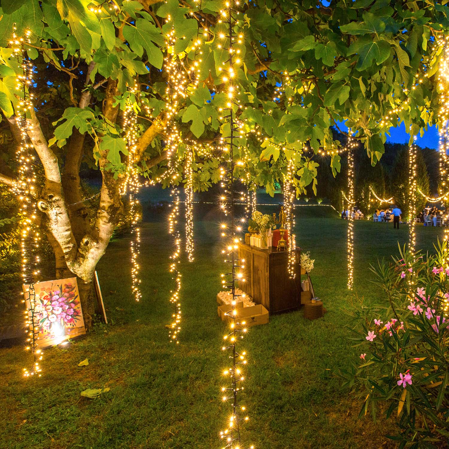 Cascata di luci Connect+ 3 nastri, 600 led bianco caldo, cavo verde, prolungabile 2 Cascata di luci Connect+ 3 nastri, 600 led bianco caldo, cavo verde, prolungabile 2