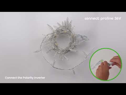 Connect ProLine 36V Lichterkette, 8 m, 80 Maxi-LEDs warmweiß, transparentes Kabel, verlängerbar 3