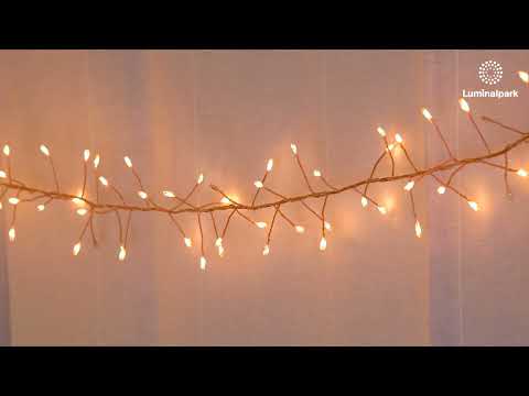 20m, 1600 MicroLEDs Extra Warm White and Warm White Cluster Lights 2