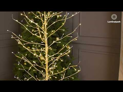 Albero luminoso Tiglio champagne 1,2 m, 330 microled bianco caldo e bianco freddo, uso interno 2