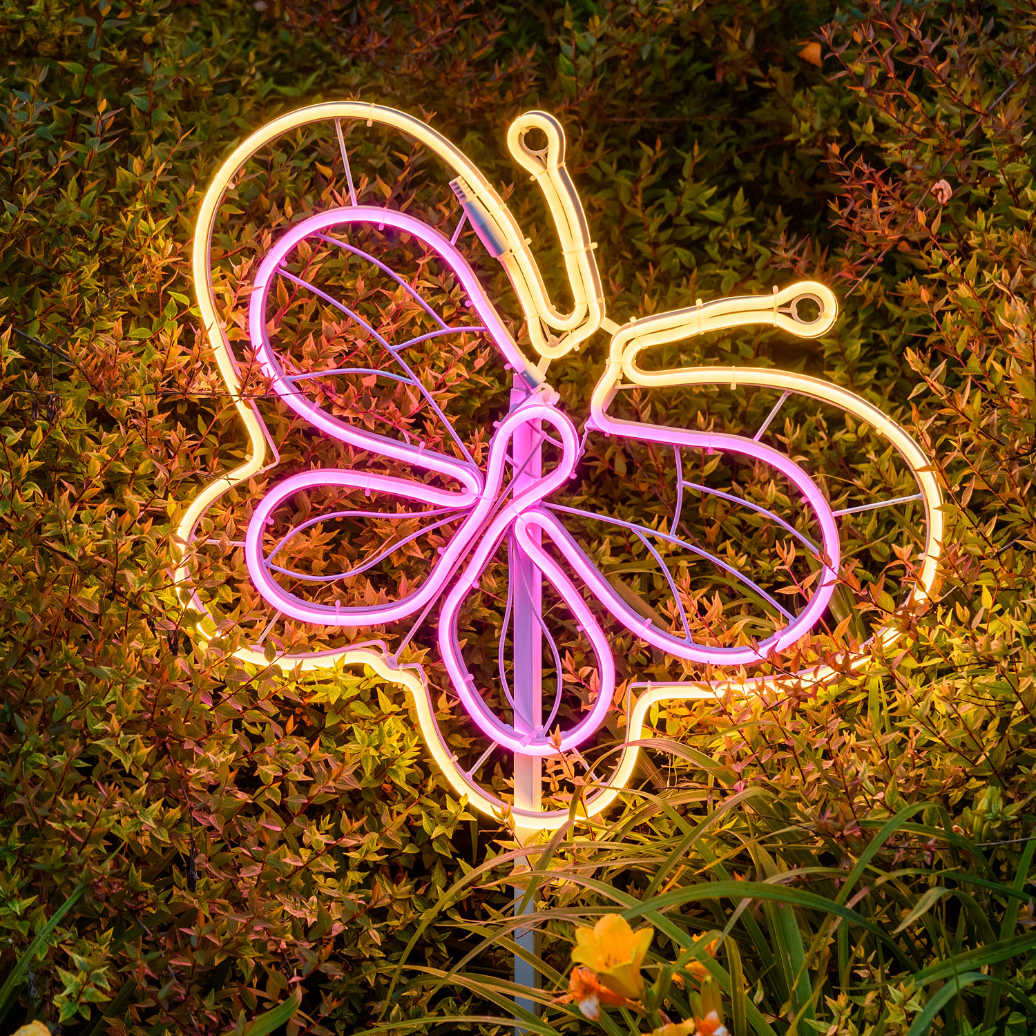 Mariposa luminosa, led blanco cálido y rosa, efecto neón, h. 45 cm 1 Mariposa luminosa, led blanco cálido y rosa, efecto neón, h. 45 cm 1