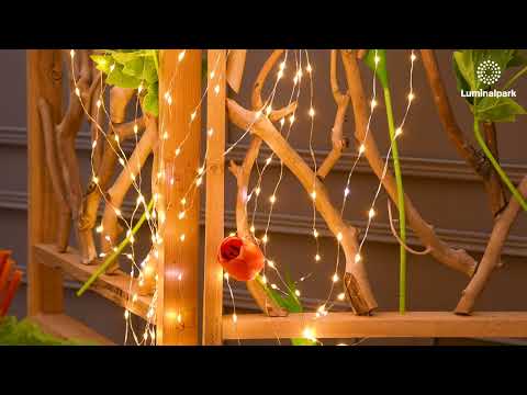 Lichterbündel 1 m, 300 Micro LEDs kalt- und warmweiß, Silberdraht 2 Lichterbündel 1 m, 300 Micro LEDs kalt- und warmweiß, Silberdraht 2