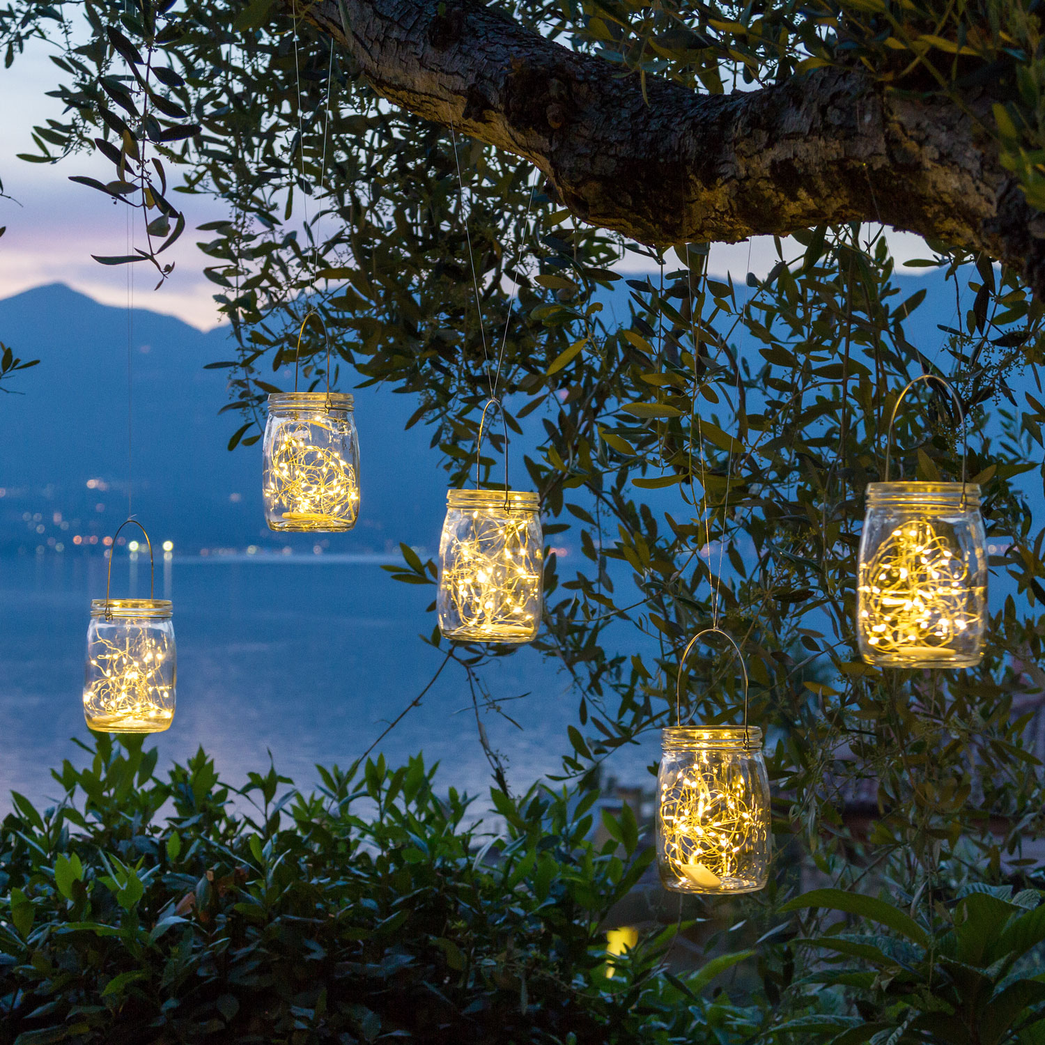 Barattolo di vetro con 80 micro led bianco caldo e freddo 10 Barattolo di vetro con 80 micro led bianco caldo e freddo 10