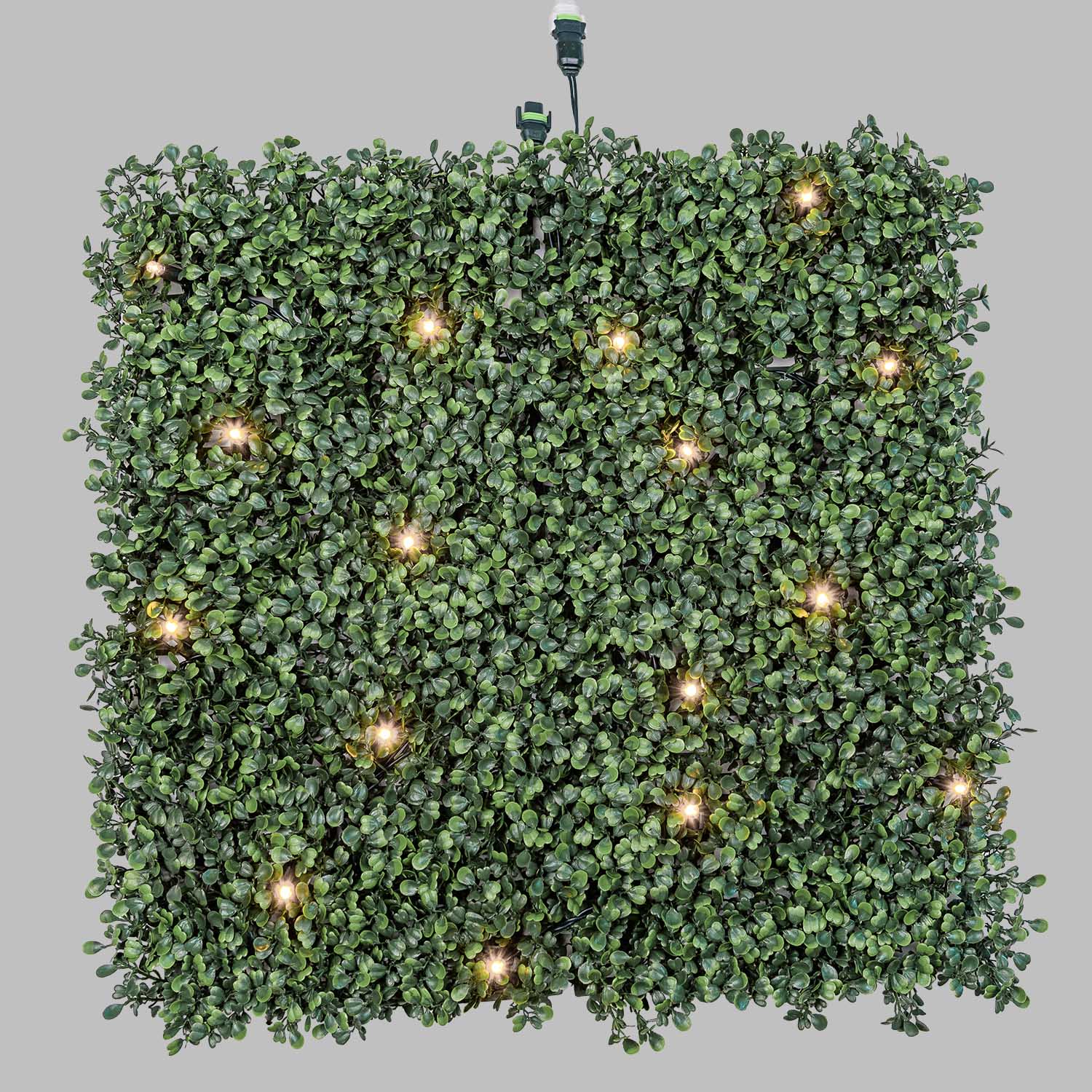 Pannello di Bosso artificiale verde scuro Green Wall Light, 16 maxiled Dual Color bianco caldo 12