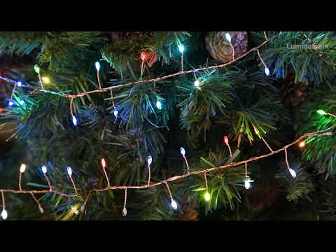 10 m, Micro led RGB Multiflash String Lights 2 10 m, Micro led RGB Multiflash String Lights 2