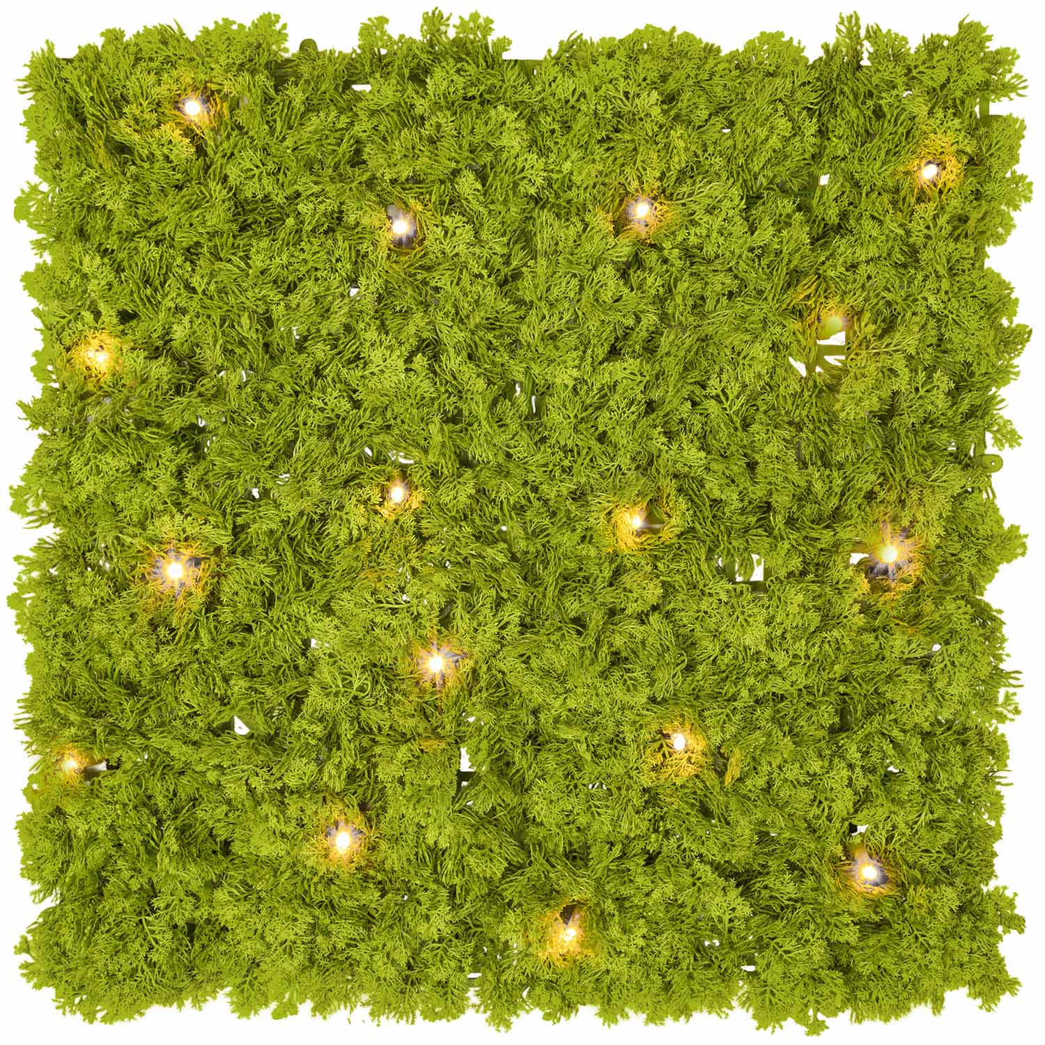 Panneau de Lichen artificiel vert acide Green Wall Light, 16 Maxiled Dual Color blanc chaud 8