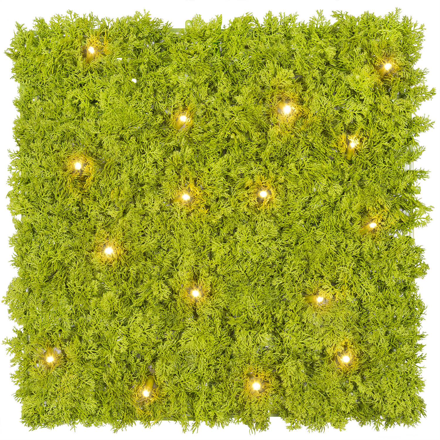 Panneau de Lichen artificiel vert acide Green Wall Light, 16 Maxiled Dual Color blanc chaud 10