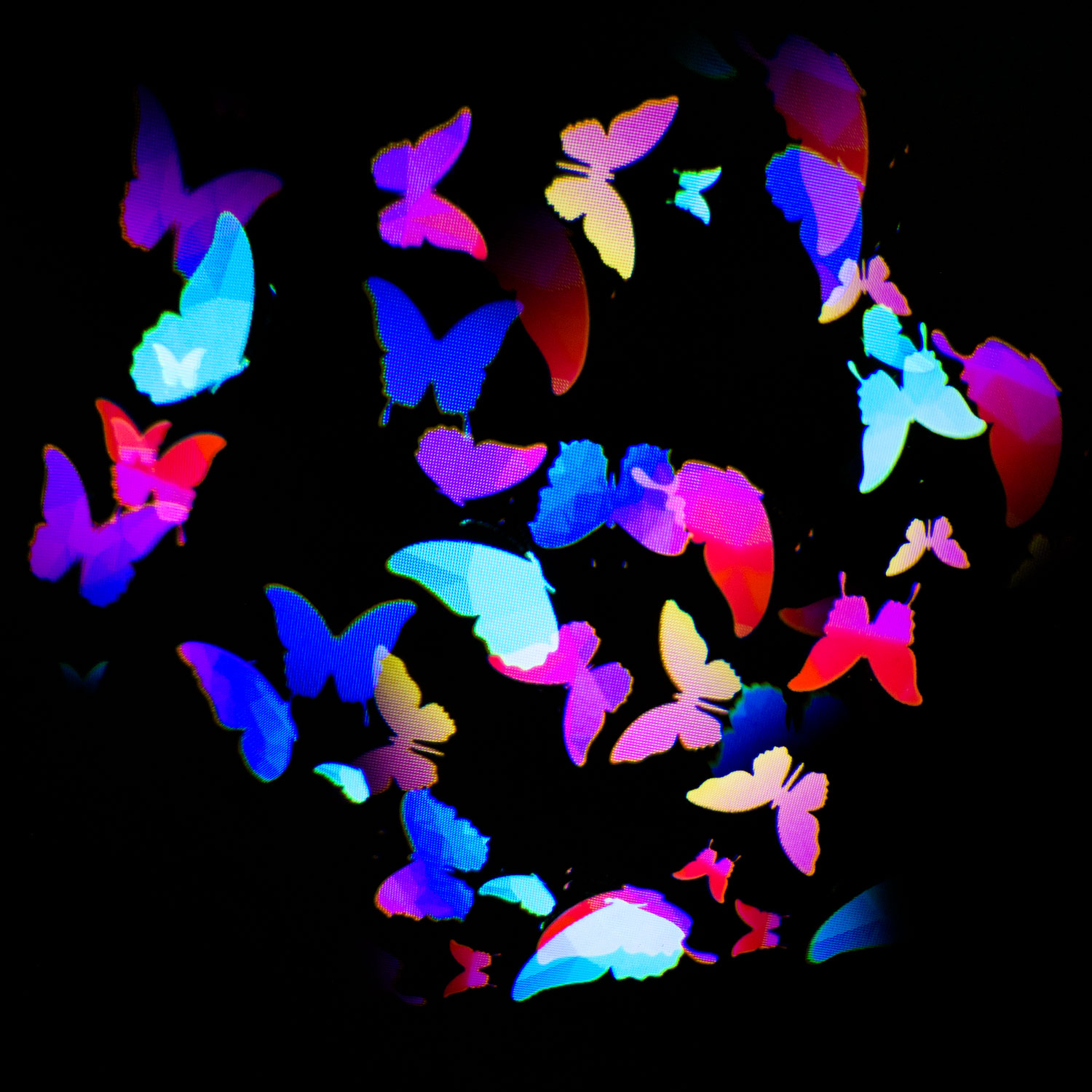 Gobo Mariposas en movimiento Ø 37mm 1 Gobo Mariposas en movimiento Ø 37mm 1