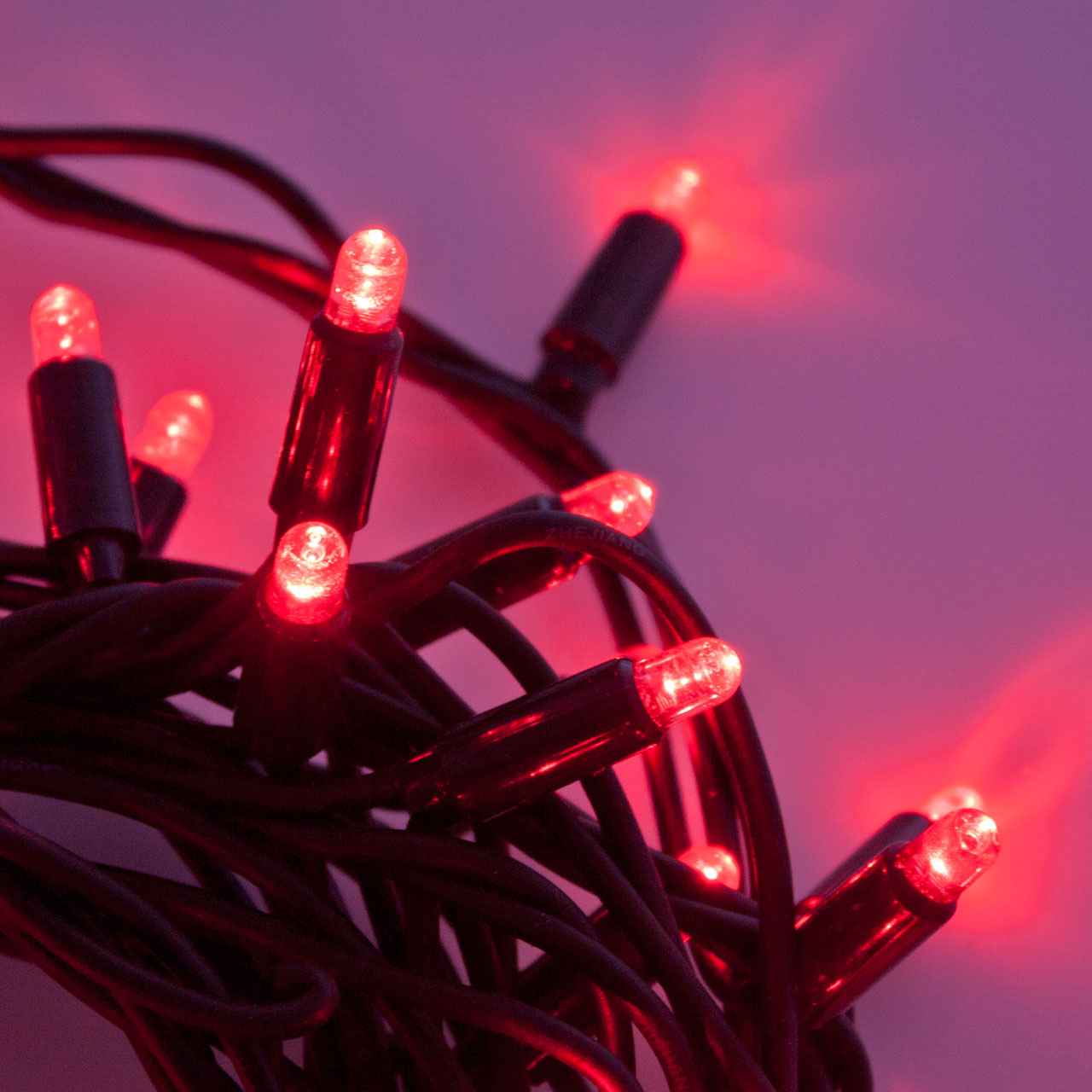 Guirlande 10 m, 120 Maxi LED rouge, IP67 3 Guirlande 10 m, 120 Maxi LED rouge, IP67 3