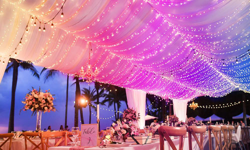 Twinkly Plus - Smart Lights