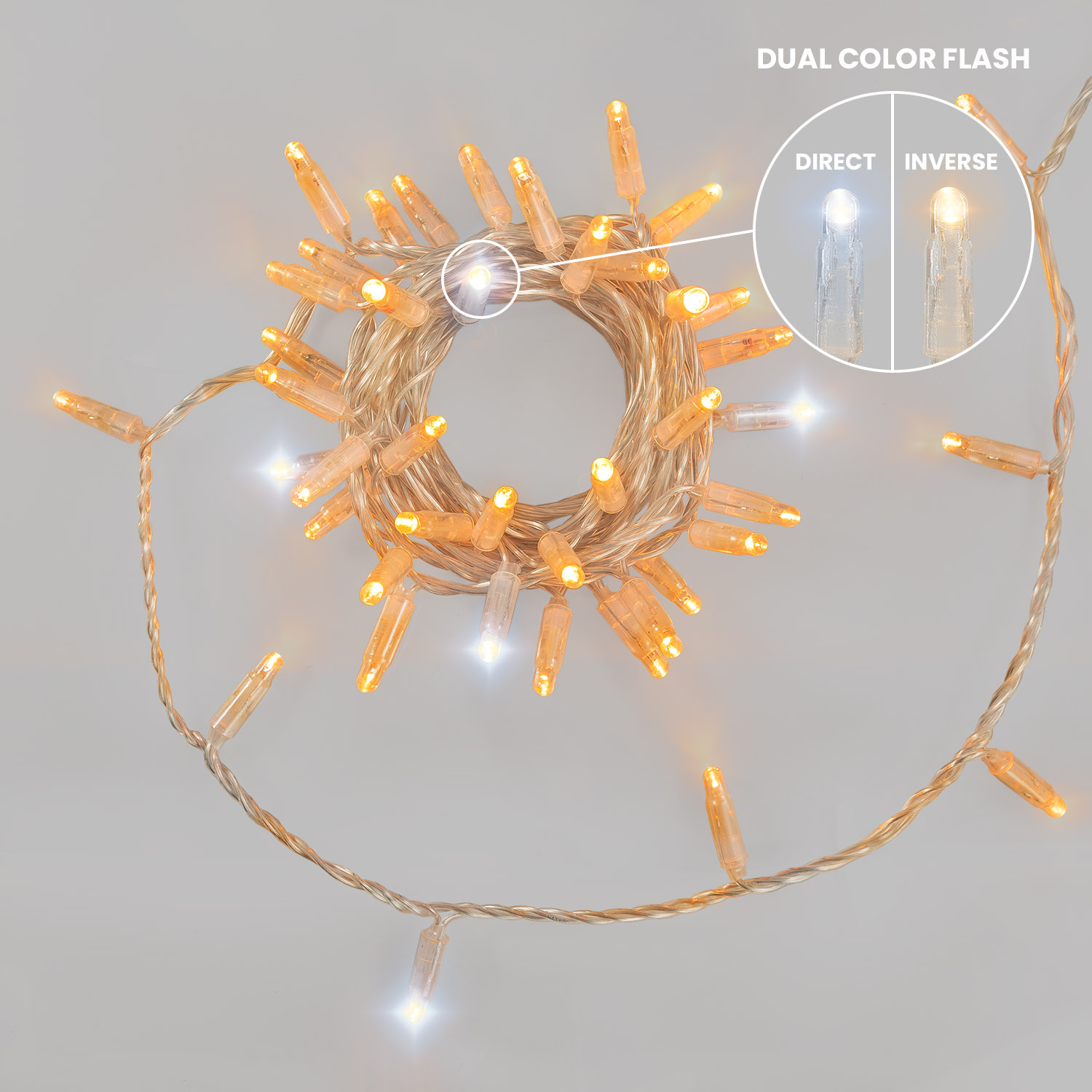 Guirlande Connect ProLine 36V, 5 m, 50 maxiled blanc chaud, câble transparent