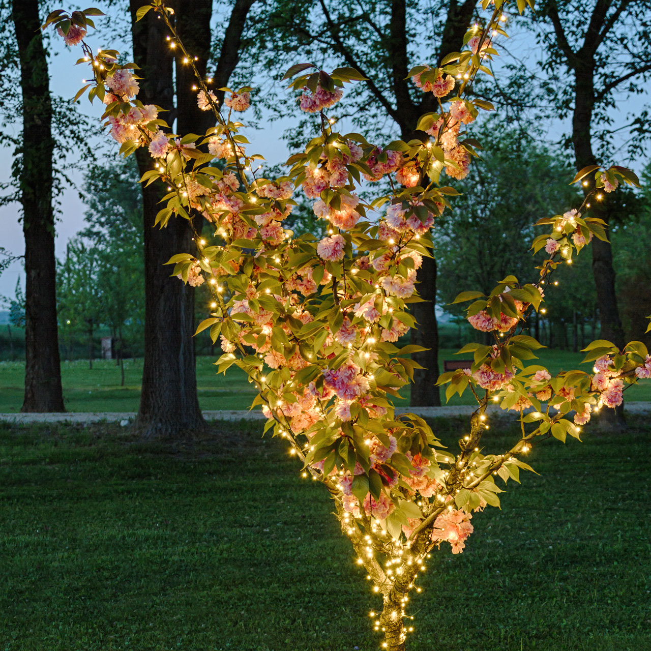 Lichterkette 70,4 m, 1000 Mini LEDs warmweiß 7 Lichterkette 70,4 m, 1000 Mini LEDs warmweiß 7