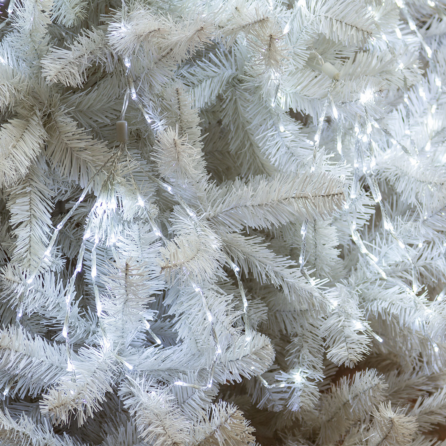 Catena luminosa 10 grappoli con miniled bianco freddo 6 Catena luminosa 10 grappoli con miniled bianco freddo 6