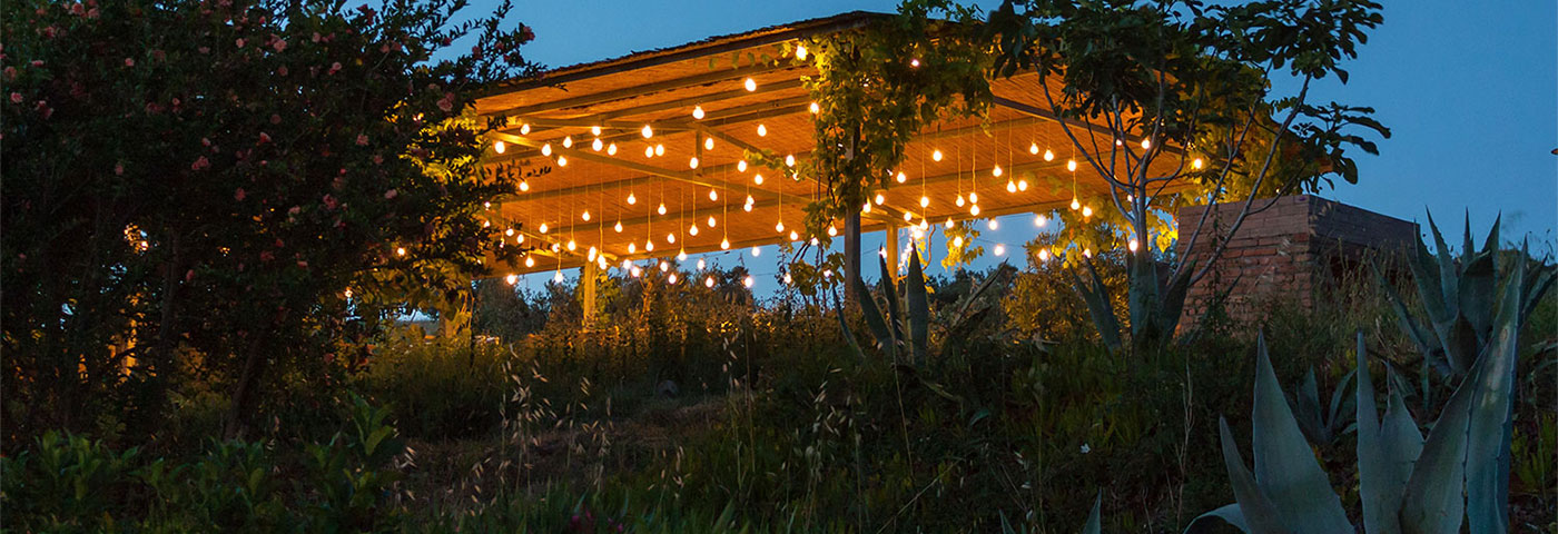 String of Bulbs: 7 ideas for the garden String of Bulbs: 7 ideas for the garden