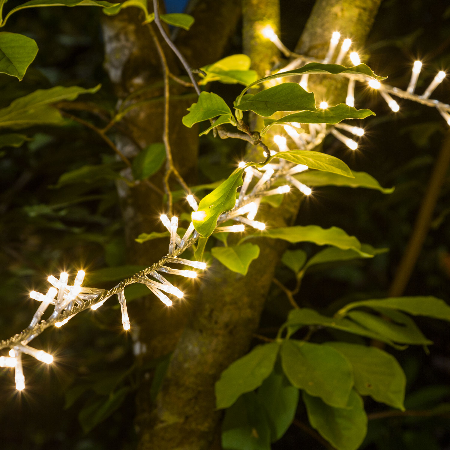 Guirlande MiniCluster 30,5 m, 1500 leds blanc chaud 9 Guirlande MiniCluster 30,5 m, 1500 leds blanc chaud 9