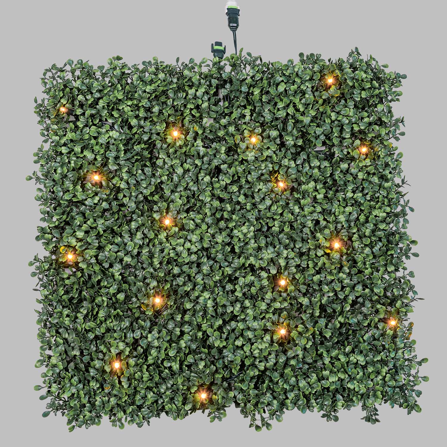 Pannello di Bosso artificiale verde scuro Green Wall Light, 16 maxiled Dual Color bianco caldo