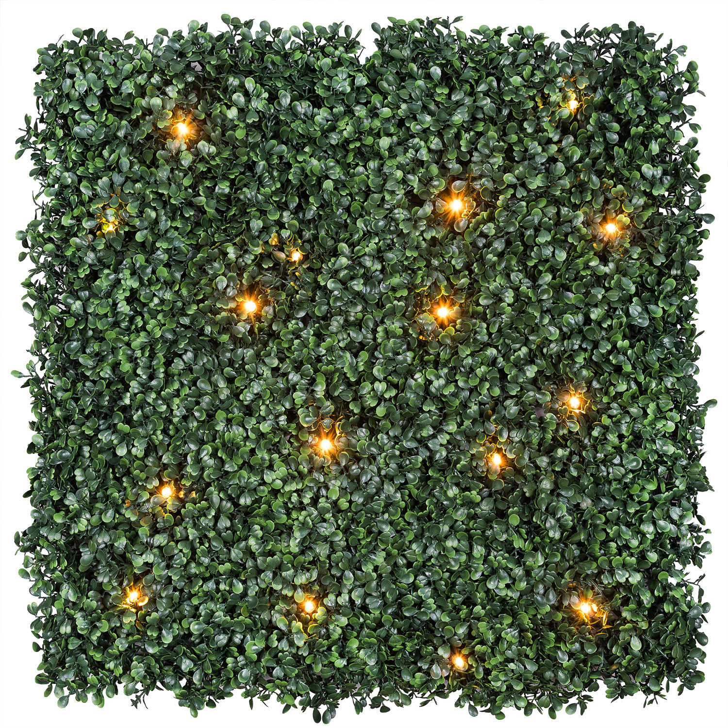 Panneau de Buis artificiel vert foncé Green Wall Light, 16 Maxiled Dual Color blanc chaud