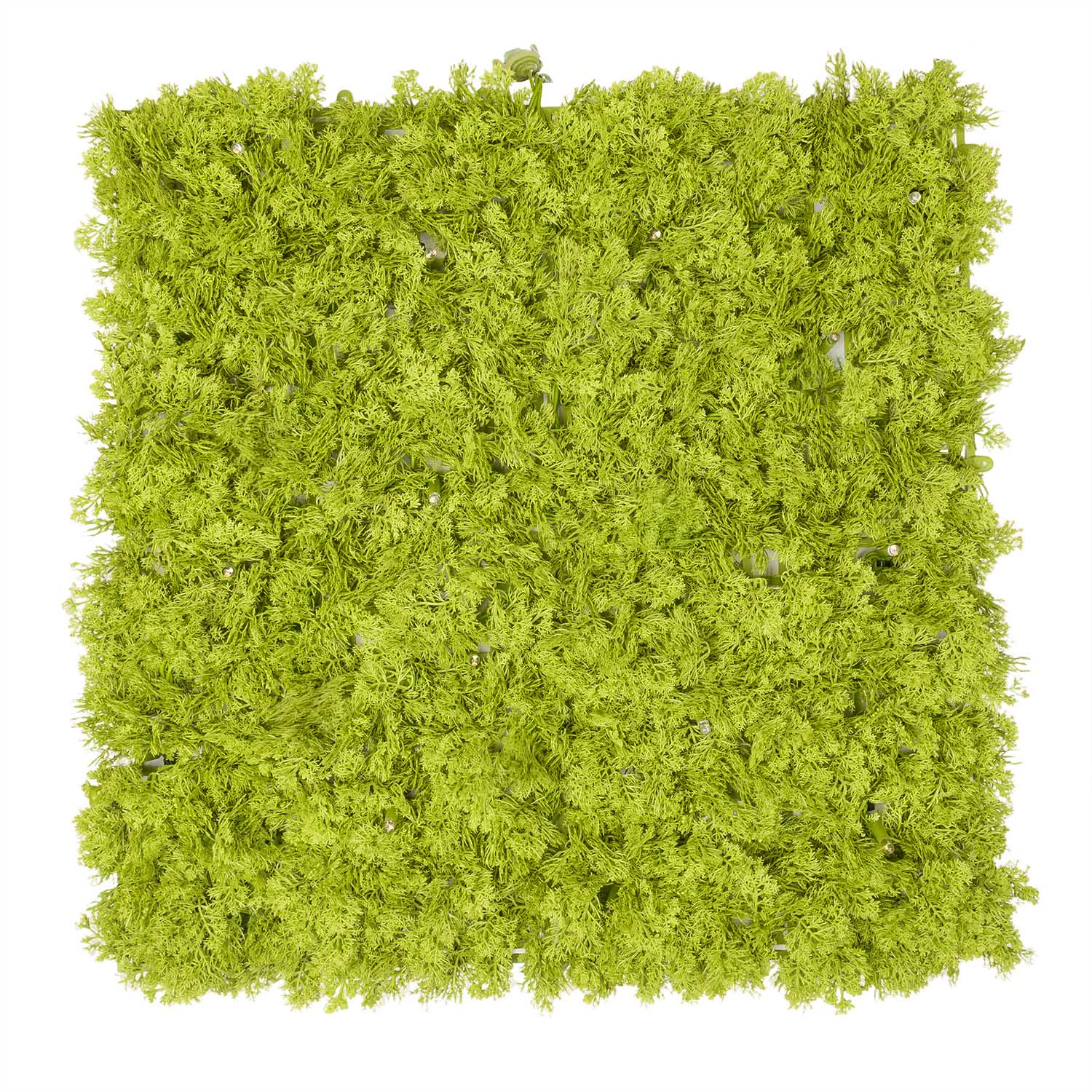 Panneau de Lichen artificiel vert acide Green Wall Light, sans lumières
