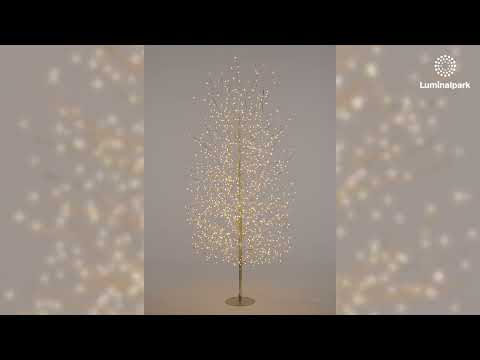 Albero luminoso Tiglio champagne 2 m, 1120 microled bianco caldo e bianco freddo, uso interno 2 Albero luminoso Tiglio champagne 2 m, 1120 microled bianco caldo e bianco freddo, uso interno 2