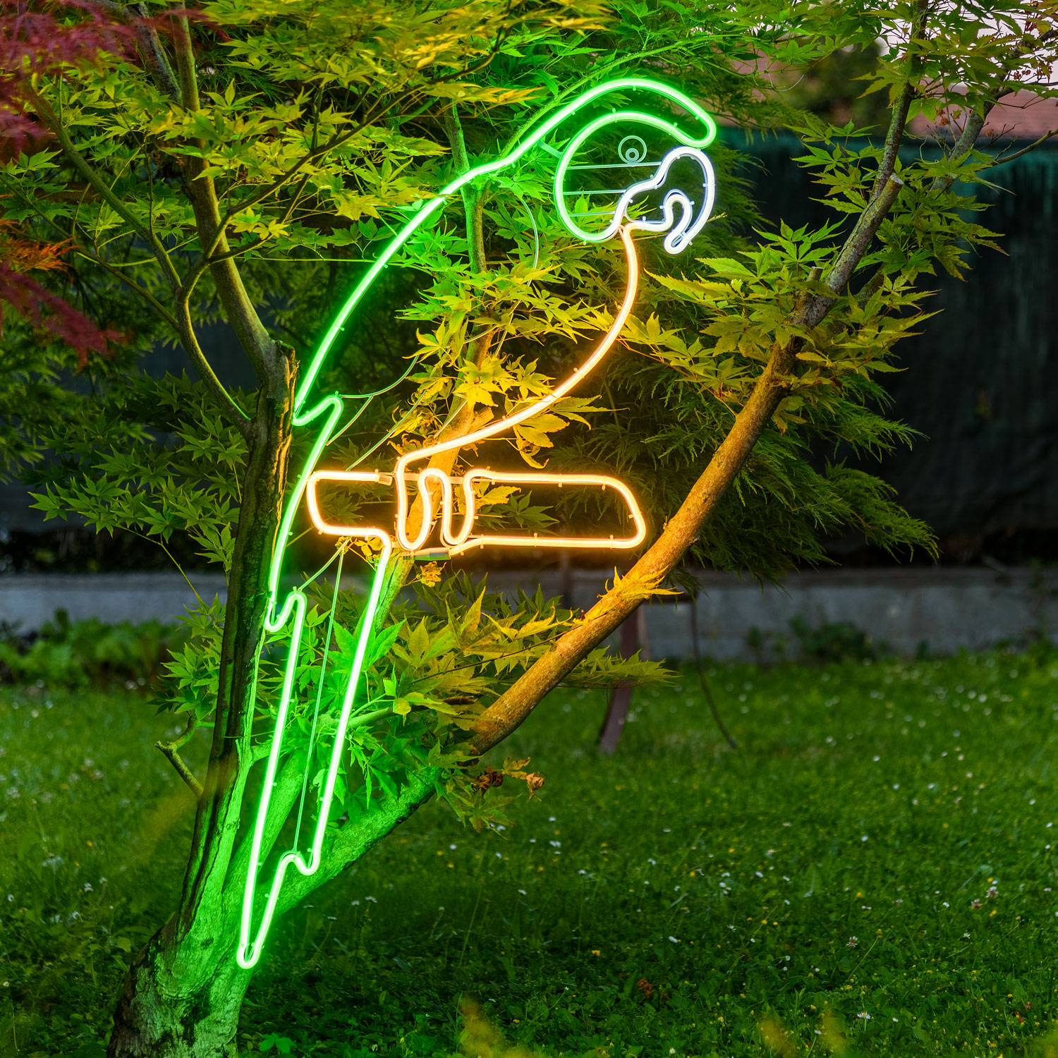 Perroquet en tube lumineux effet néon, 1,20 m, lPerroquet côté gauche, tube effet néon, 120 cm, 480 led vert, led vert et orangeed vert, blanc chaud et froid Perroquet en tube lumineux effet néon, 1,20 m, lPerroquet côté gauche, tube effet néon, 120 cm, 480 led vert, led vert et orangeed vert, blanc chaud et froid