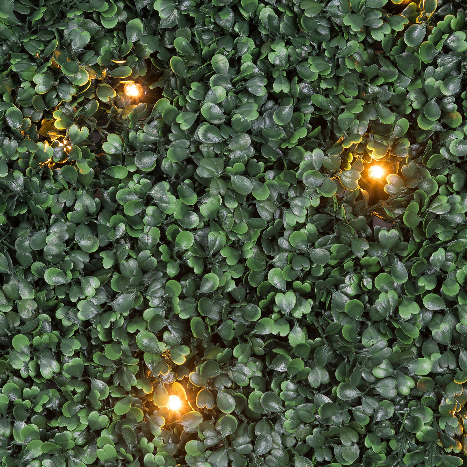 Panel de Boj artificial verde oscuro Green Wall Light, 16 maxiled Dual Color blanco cálido 6