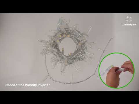 Guirlande Connect ProLine 36V, 12 m, 120 maxiled blanc chaud, câble transparent, prolongeable 2