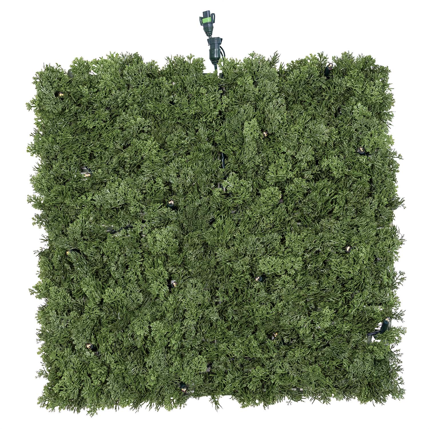 Pannello di Lichene artificiale verde bosco Green Wall Light, senza luci