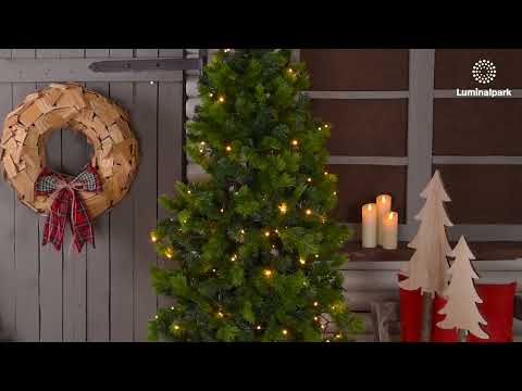 Guirlande Ruban de Lumière, 1000 miniled blanc chaud et traditionnel, multiflash 2 Guirlande Ruban de Lumière, 1000 miniled blanc chaud et traditionnel, multiflash 2