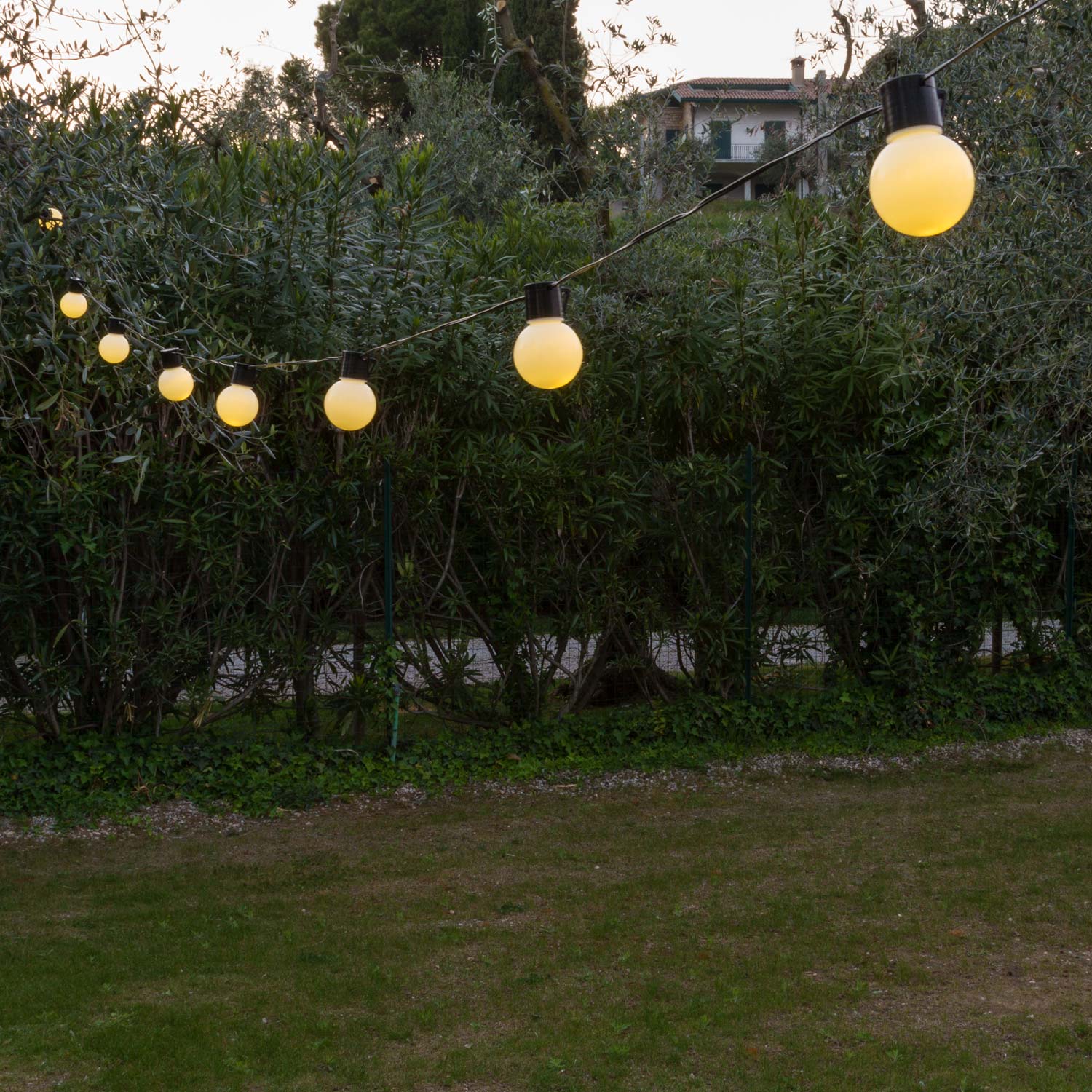 10m Festoon Lights, 20 Ø 50mm White Bulbs, Warm White LED 2 10m Festoon Lights, 20 Ø 50mm White Bulbs, Warm White LED 2