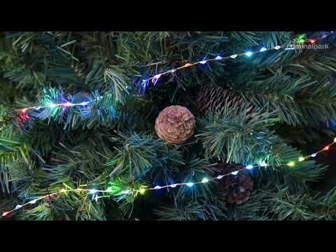 Light Line Lichterkette 10 m, 625 MicroLEDs RGB Multiflash 2 Light Line Lichterkette 10 m, 625 MicroLEDs RGB Multiflash 2