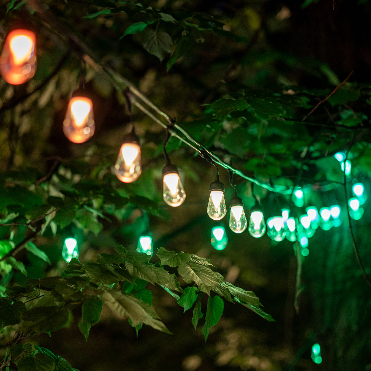 Twinkly Plus Lichterkette 20 m, 40 PixelLED-Glühbirnen, RGB und warmweiß 4 Twinkly Plus Lichterkette 20 m, 40 PixelLED-Glühbirnen, RGB und warmweiß 4