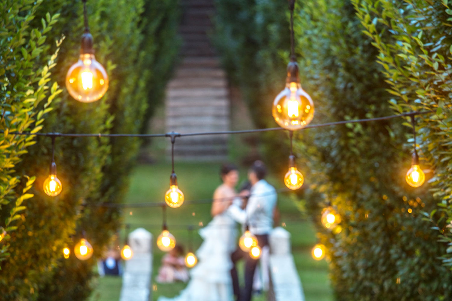 Festoon Party Light Festoon Party Light