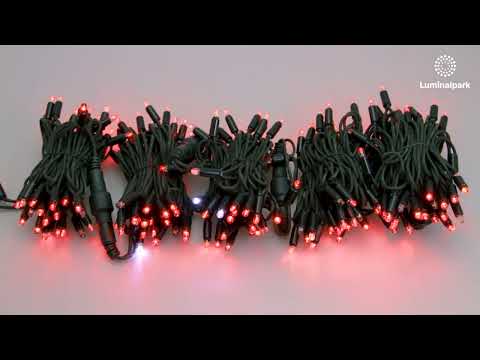 Lichterkette 20 m, 200 MaxiLEDs rot und kaltweiß, grünes Kabel 2 Lichterkette 20 m, 200 MaxiLEDs rot und kaltweiß, grünes Kabel 2