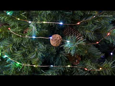 Light Line Lichterkette 20 m, 400 MicroLEDs RGB Multiflash 2 Light Line Lichterkette 20 m, 400 MicroLEDs RGB Multiflash 2