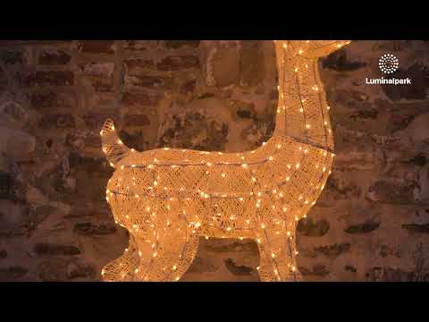 160cm Reindeer with Rotated Head 3D, Light Cream & Brown, 380 Dual LEDs in Traditional Warm White and Cold White 2