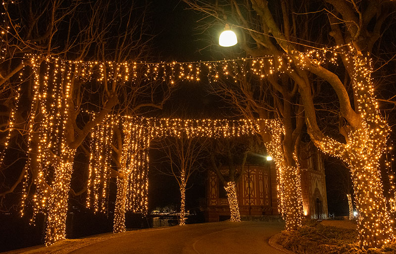 Icicle and String lights