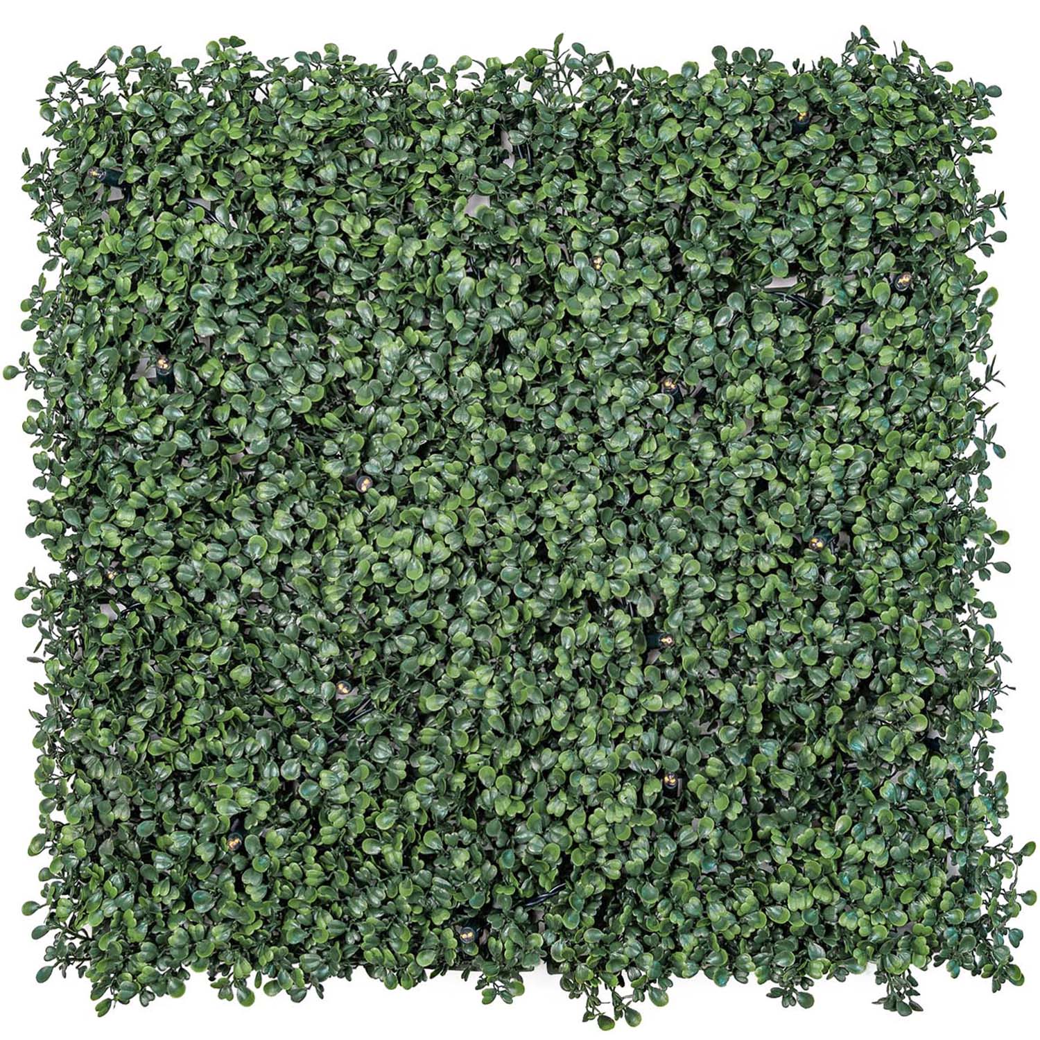 Dark Green Artificial Boxwood Panel Green Wall Light, without lights