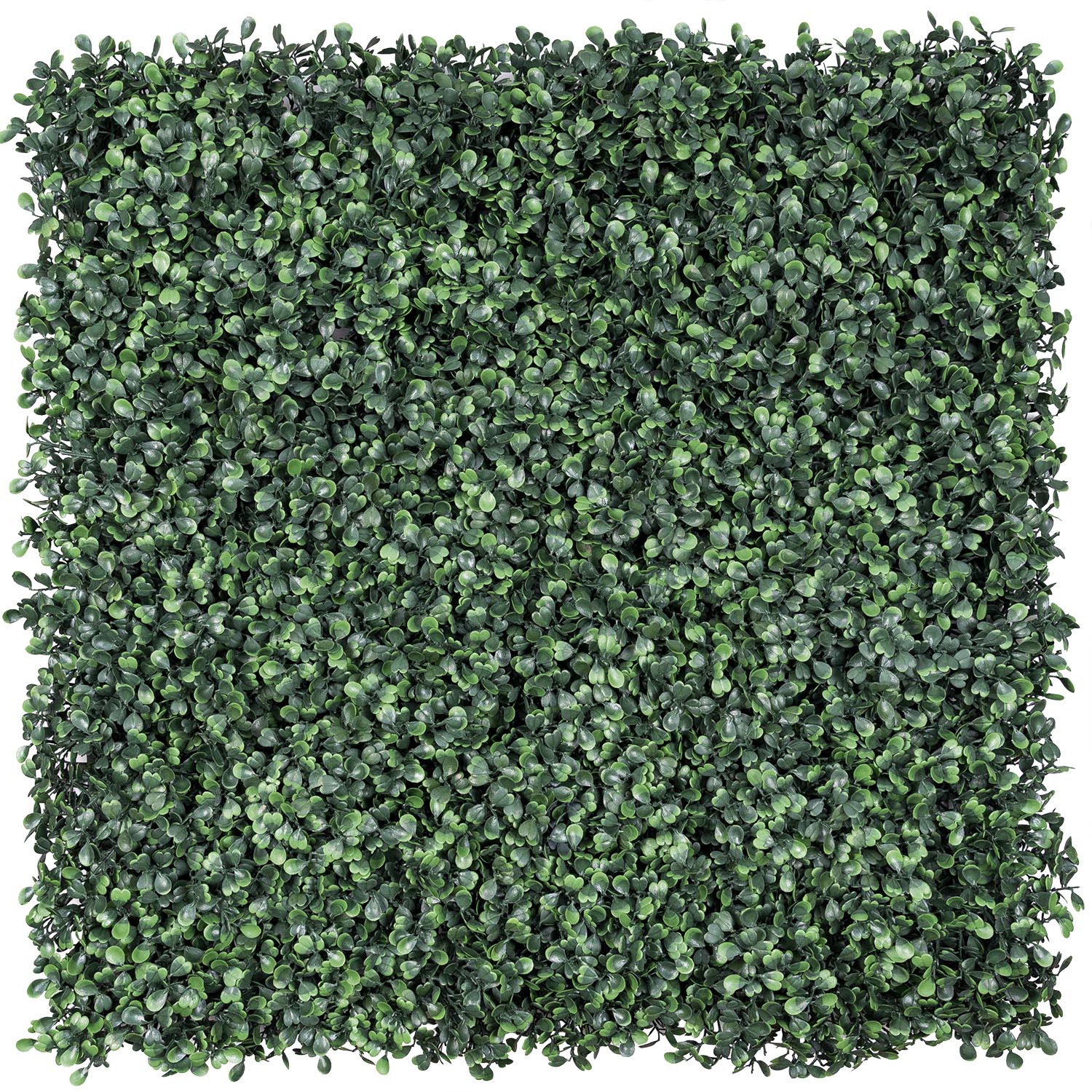 Panel de Boj artificial verde oscuro Green Wall Light, sin luces