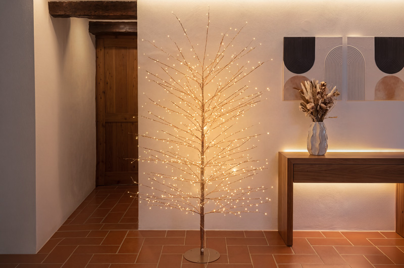 Albero Tiglio