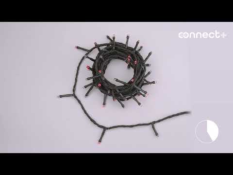 Catena Connect+ 5 m, 50 led rossi, cavo verde, prolungabile 2