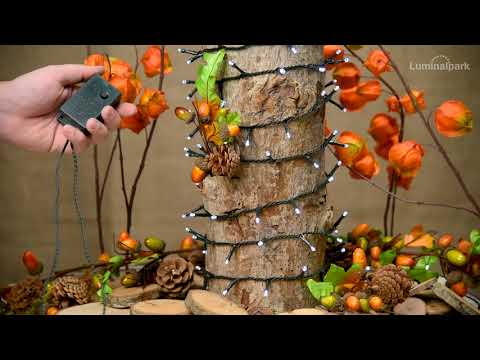 Lichterkette 18,5 m, 450 LEDs kaltweiß 2 Lichterkette 18,5 m, 450 LEDs kaltweiß 2