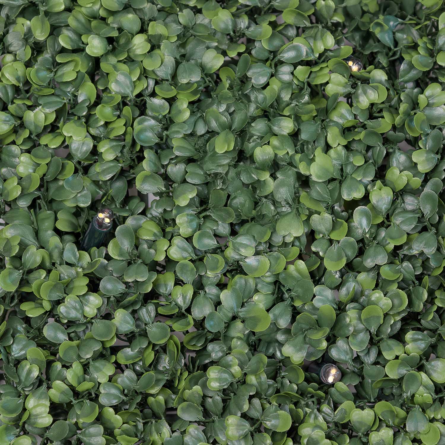 Pannello di Bosso artificiale verde scuro Green Wall Light, 16 maxiled Dual Color bianco caldo 13