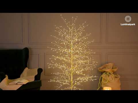 Luminous Linden Champagne Tree, h 1.7 m, 784 Warm White and White MicroLEDs, Indoor use 2