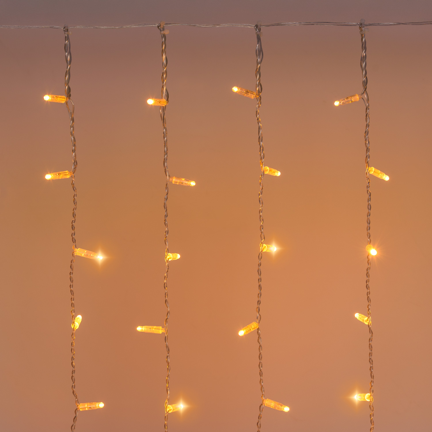 Vorhanglichter Connect ProLine 36V, 1 x H 2 m, 160 Maxiled warmweiß, transparentes Kabel 6 Vorhanglichter Connect ProLine 36V, 1 x H 2 m, 160 Maxiled warmweiß, transparentes Kabel 6